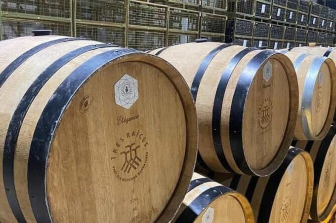 Guanajuato: Private Wine Route Tour With Tastings - Luxurious Vineyard Experience