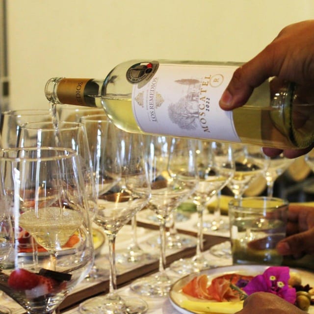 Guanajuato: The Remedios Vineyard - Experience Description