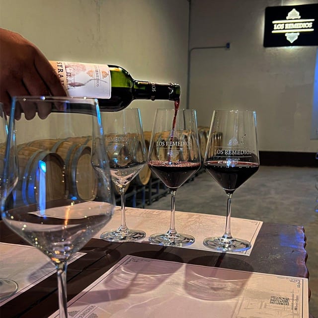 Guanajuato: The Remedios Vineyard - Relaxed Atmosphere