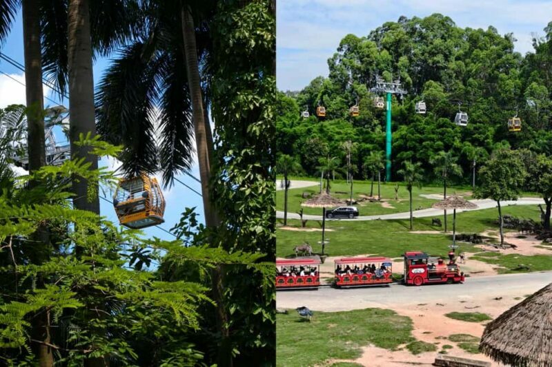 Guangzhou Chimelong: Safari Park/ParadiseOptional Day Tour - The Overall Experience: Who Will Love It?