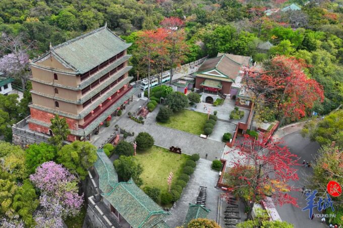 Guangzhou Full Day City Tour With Old and New Highlights - Dining and Additional Options