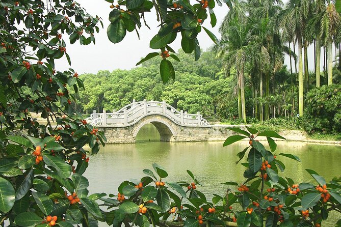 Guangzhou South China National Botanical Garden Private Day Tour - Plant Diversity