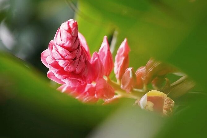 Guangzhou South China National Botanical Garden Private Day Tour - Sum Up