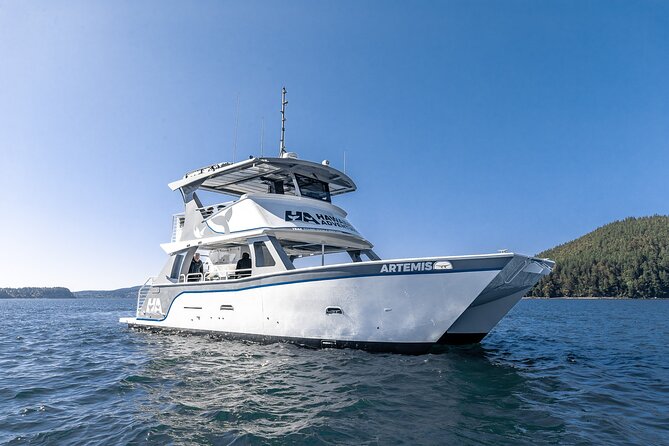 Guaranteed Dolphin and Whale Watch Tour in Kona - Included in the Tour