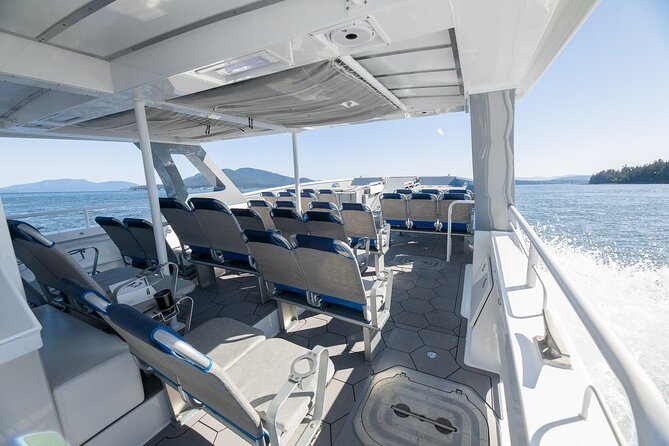 Guaranteed Dolphin and Whale Watch Tour in Kona - Boat Amenities and Capacity