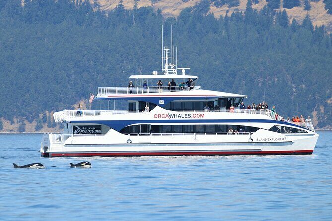 Guaranteed Whale Watch Tour from Anacortes - Why Choose This Whale Watch?