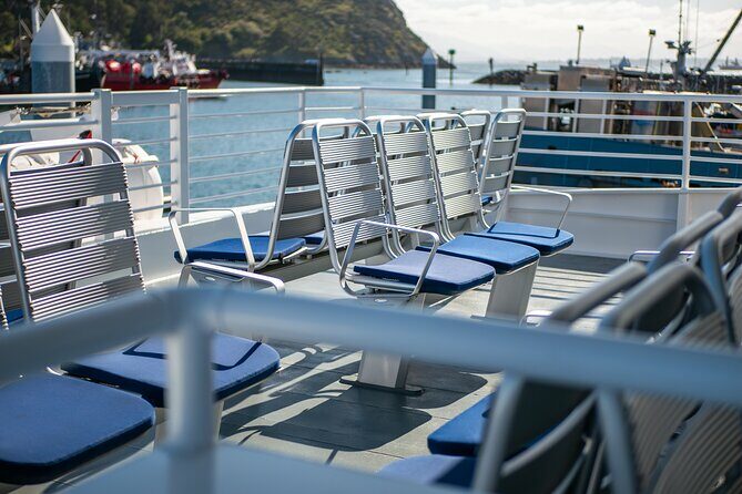 Guaranteed Whale Watch Tour from Anacortes - The Experience on the Vessel