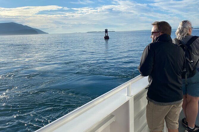 Guaranteed Whale Watch Tour from Anacortes - Pricing and Value