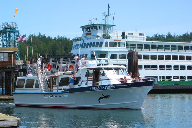 Guaranteed Whale Watching Tour - Whale Sightings and Behavior