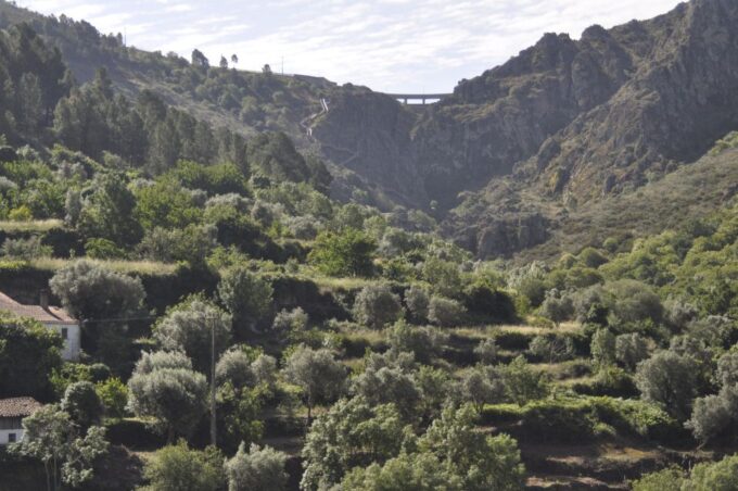 Guarda Nature Walk: Mondego Walkways Tales - Safety and Responsibility
