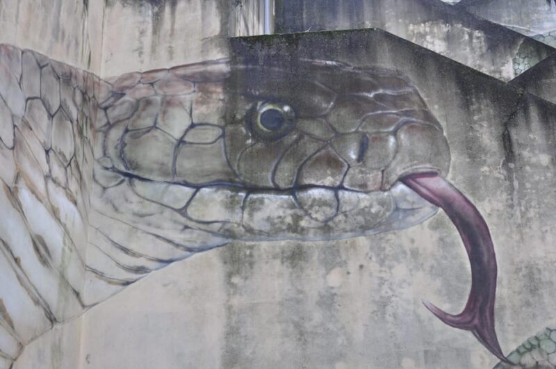 Guarda Secrets: Street Art & Hidden Histories - Free Tour - Meeting Point and Location