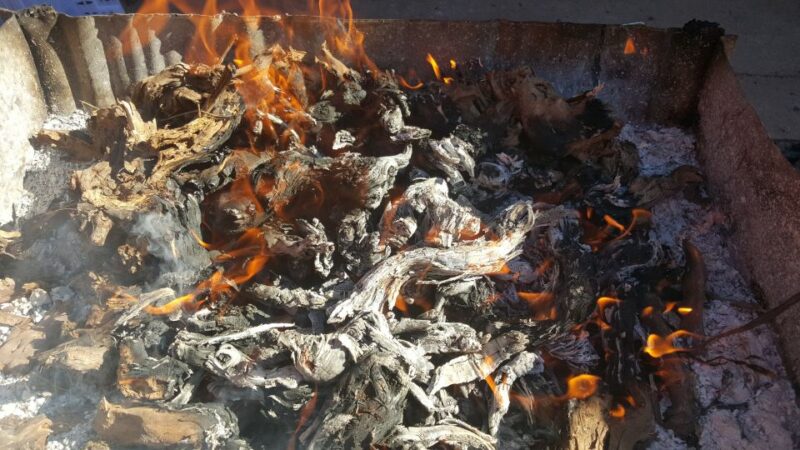 Guardiola De Font-Rubi: Winery & Grill Menu Tour - Key Points