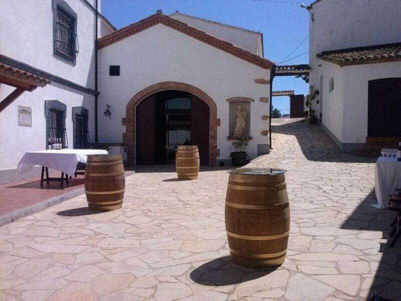 Guardiola De Font-Rubi: Winery & Grill Menu Tour - Activities in the Winery Tour