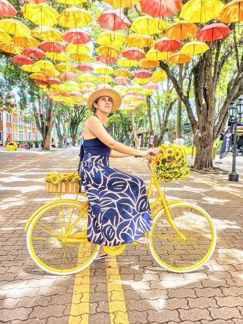 Guarulhos Airport Transfer: to Campos Do Jordão - Key Points