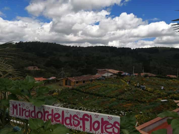 Guatape and Flower Tour - Key Points