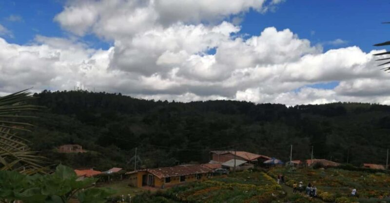 Guatape and Flower Tour - Itinerary Highlights