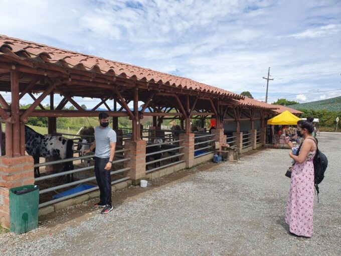 Guatapé: Horseback Ride & Tour Combo - Exploring Guatapé