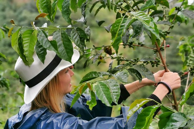 Guatape Rock & Coffee Tour & Picturesque Town: Private Tour - Guides and Customer Satisfaction