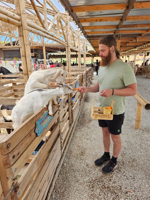 Guatapé, Stone of Peñol, Replica Peñol, New Peñol, Animals - Tour Features
