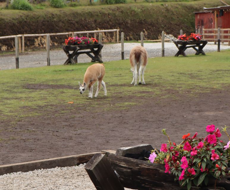 Guatapé Tour: All Inclusive Weekend - Optional Activities