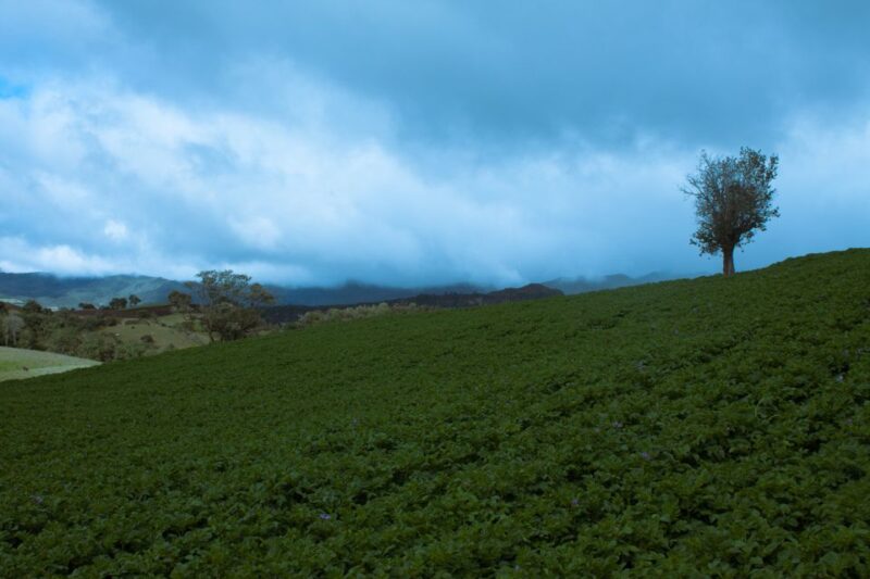 Guatavita Golden Lake - Guided Experience
