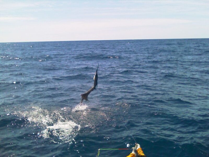 Guatemala 4-Day Private Sport Fishing Package Tour - Fishing Experience