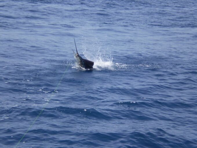 Guatemala 4-Day Private Sport Fishing Package Tour - Additional Information