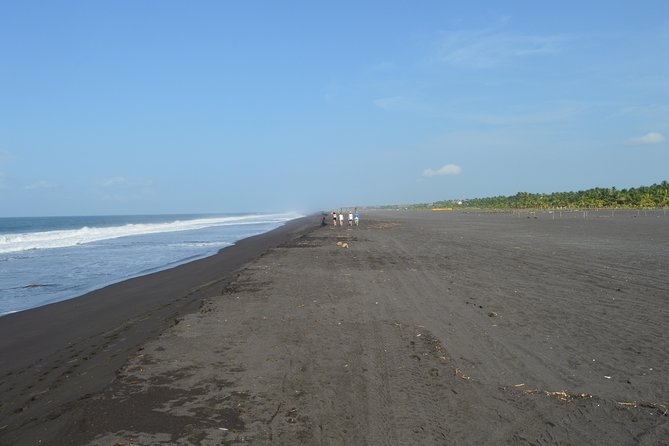 Guatemala San Jose Beach Private Tour - Pickup and Drop-off