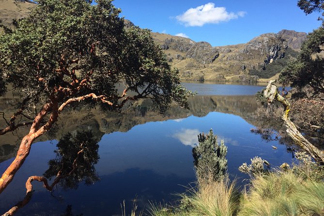 Guayaquil to Cuenca One-Way Tour With Cajas Park and a Cacao Farm Visit - Pickup and Drop-off Details