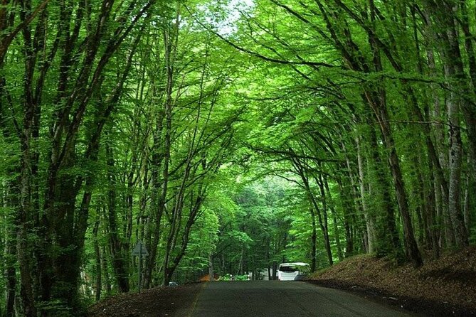 Guba and Khinalig Village Tour (Full-Day) Including Lunch - Cancellation Policy
