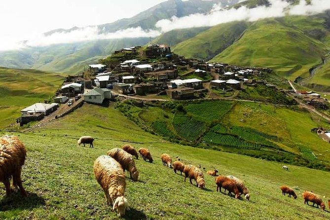 Guba+Khinaligh Day Trip - Tour Schedule and Capacity