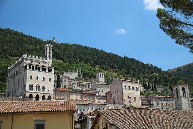 Gubbio, a Medieval Jewel in Umbria - Private Tour - Reviews and Ratings