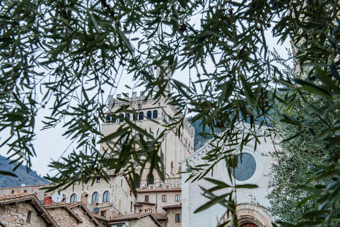 Gubbio: Private Walking Tour With Official Guide - Convenient Meeting and End Point