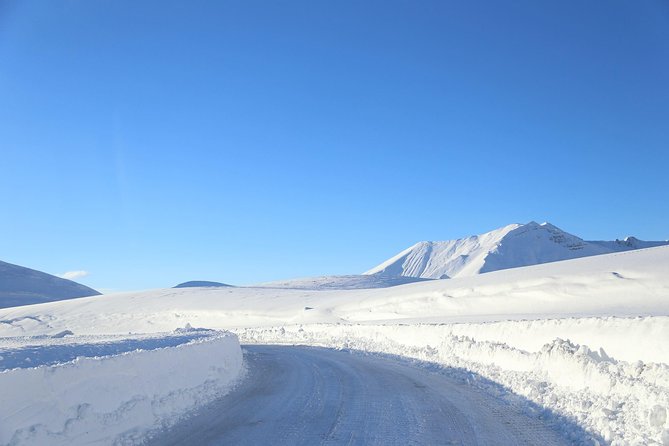 Gudauri Ski Resort Day Tour From Tbilisi - Activities in Gudauri