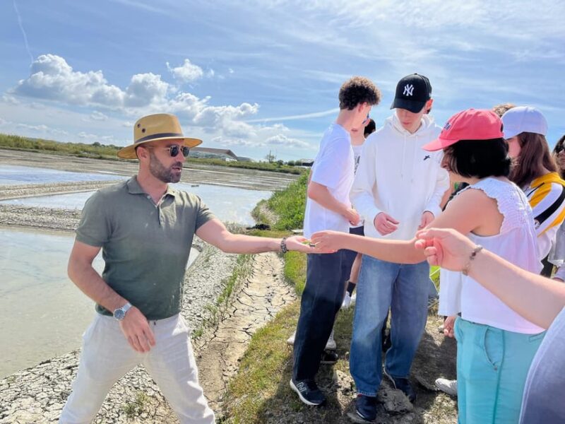 GUÉRANDE SALT MARSHES TOUR - Key Points