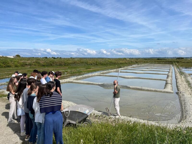 GUÉRANDE SALT MARSHES TOUR - Itinerary Details