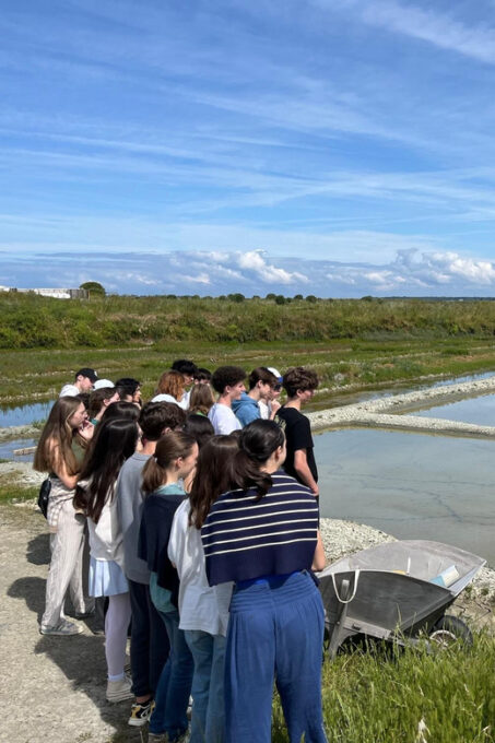 GUÉRANDE SALT MARSHES TOUR - About the Marshes