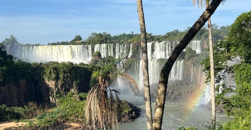 Guide and Transport in Iguaçu Falls - Itinerary and Highlights