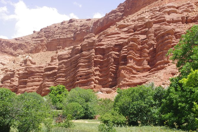 Guide for Gorges Dades, Valley of Roses and All of Morocco. - Cuisine and Dining Options