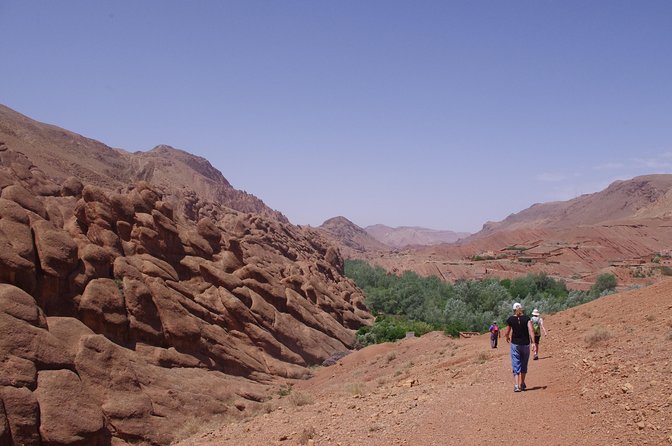 Guide for Gorges Dades, Valley of Roses and All of Morocco. - Transportation and Logistics