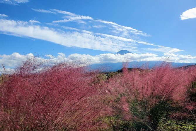 Guided 2 Days Mt. Fuji and Hakone Tour GREEN NUMBER PLATES - Key Points