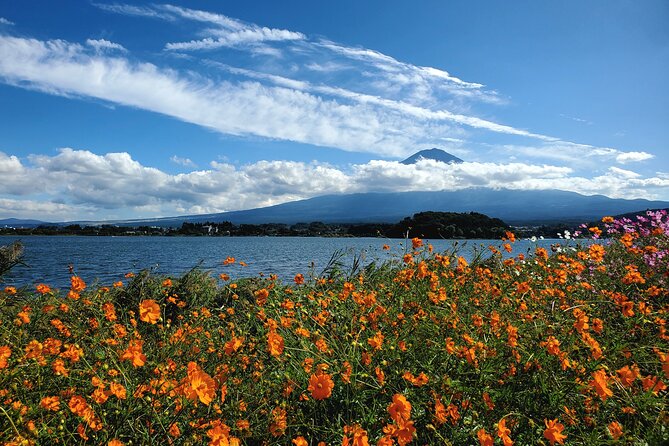 Guided 2 Days Mt. Fuji and Hakone Tour GREEN NUMBER PLATES - Start Time