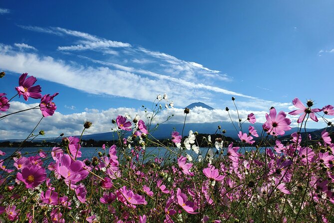Guided 2 Days Mt. Fuji and Hakone Tour GREEN NUMBER PLATES - Cancellation Policy