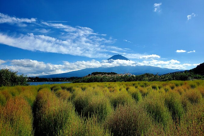 Guided 2 Days Mt. Fuji and Hakone Tour GREEN NUMBER PLATES - Price and Guarantee