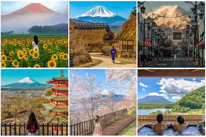 Guided 2 Days Tour Tokyo ,Mt Fuji and Hakone GREEN NUMBER PLATES - Tour Details