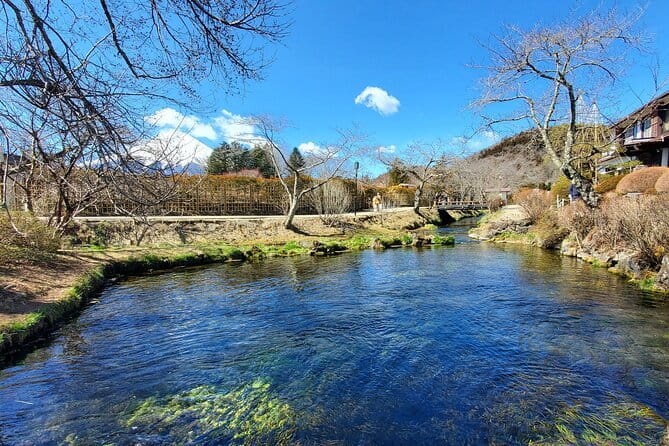 Guided 2 Days Tour Tokyo ,Mt Fuji and Hakone GREEN NUMBER PLATES - Pricing and Policies