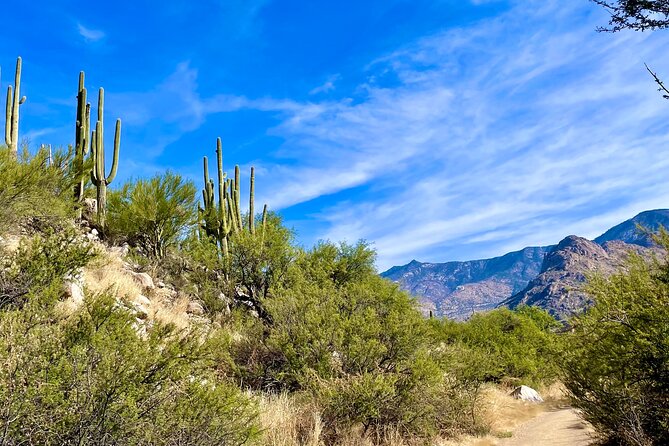 Guided 2 Hour Horseback Ride Catalina State Park Coronado Forest - Included in the Experience