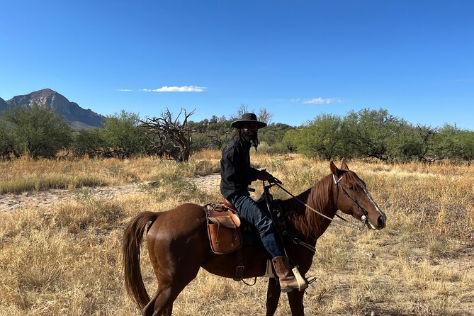 Guided 2 Hour Horseback Ride Catalina State Park Coronado Forest - Getting to Rancho De Los Cerros