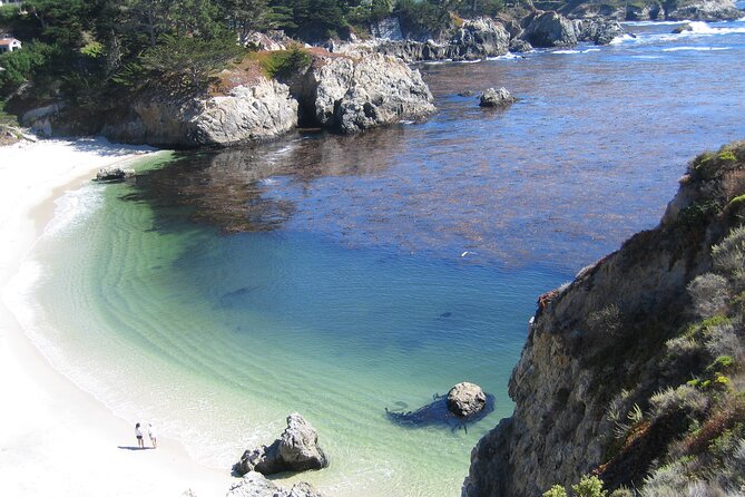 Guided 2-Hour Point Lobos Nature Walk - Point Lobos Highlights
