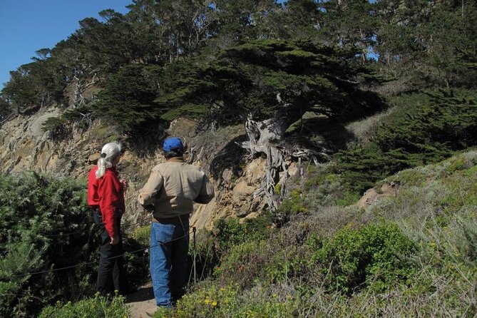 Guided 2-Hour Point Lobos Nature Walk - Historical Insights